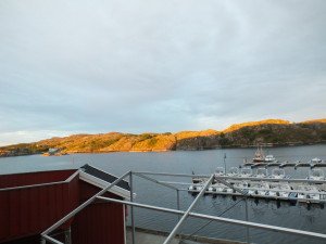 DSCF2602