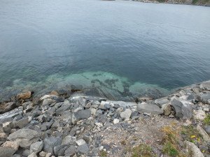 DSCF2641