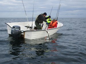 IMG_1236
