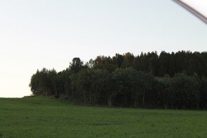 IMG_6891-1280x853