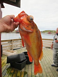 IMG_9151