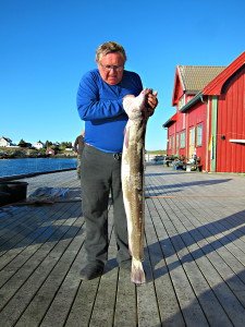 IMG_9237