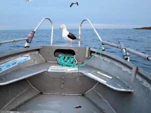 IMG_9247