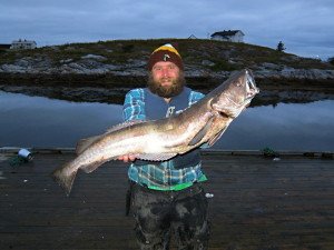 IMG_9288