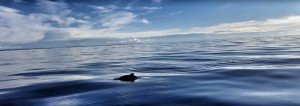 IMG_9939
