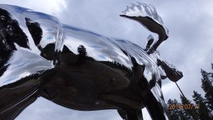 P7110013
