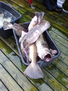 Photo0007