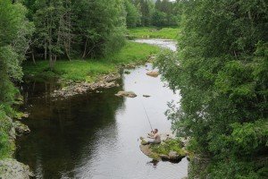 image001-2