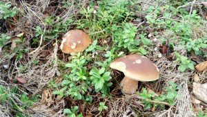 20160826_124723-1280x720