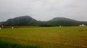 DSC_0120-1280x707