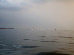 IMG_1910