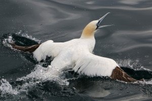 IMG_8837