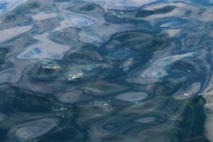 IMG_9340