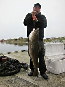 IMG_9520