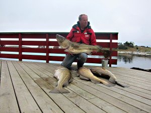 IMG_9529