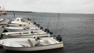 20160928_1037231