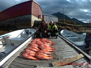 2016_0921_131047_002