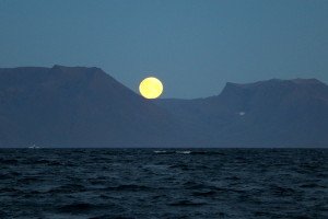 IMG_0091