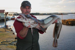 IMG_0110