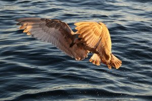 IMG_0424