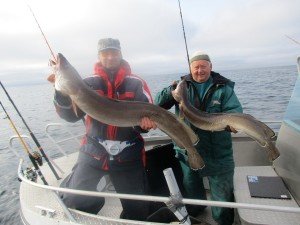 IMG_0574-Large
