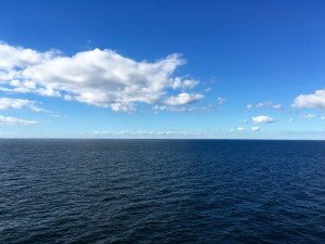 IMG_2224