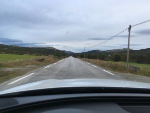 IMG_2245