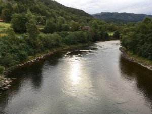 IMG_2250