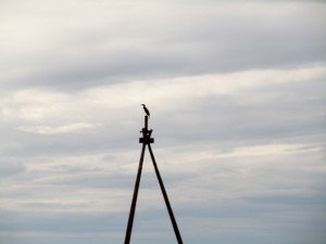 IMG_2259-800x600