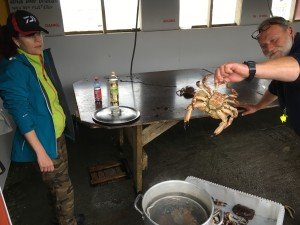 IMG_2260
