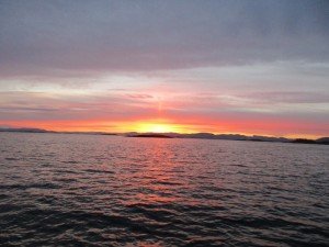 IMG_2332-800x600