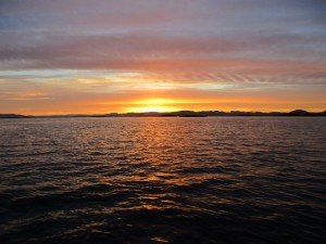 IMG_2334-800x600