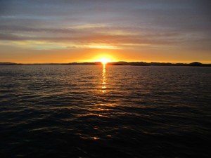IMG_2337-800x600