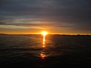 IMG_2338-800x600