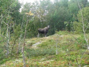 IMG_4703