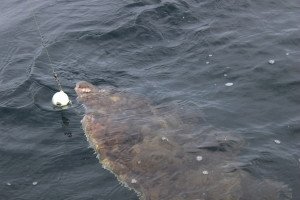 IMG_5770-1