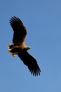 IMG_6314