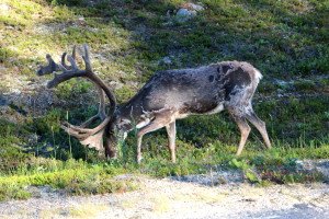 IMG_8710