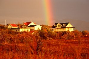 IMG_9909