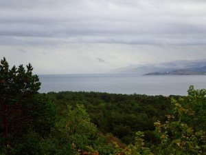 P9110261