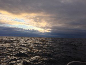 image-35