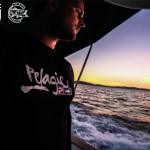 pelagic-croatia-2