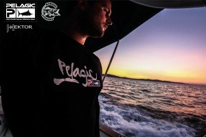 pelagic-croatia-2