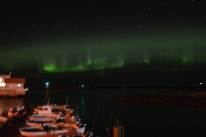 DSC_0023