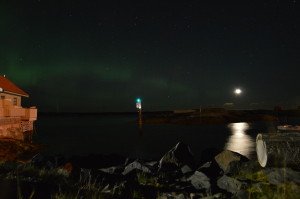 DSC_0103
