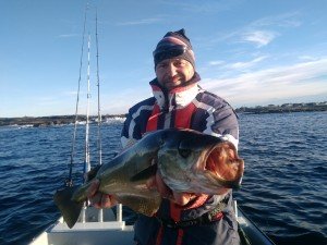 IMG_20161024_113218-1
