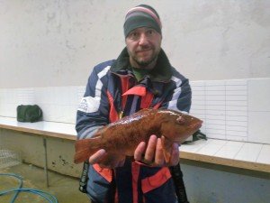 IMG_20161025_174724