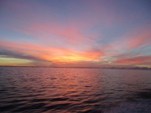 IMG_2396-800x600