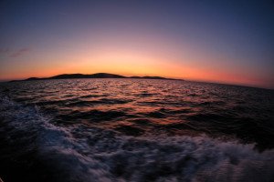 IMG_2767