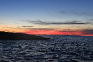 IMG_4676
